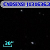 CXOSEXSI J131636.3+291341