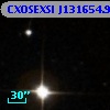 CXOSEXSI J131654.9+290341