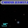 CXOSEXSI J131657.1+291305