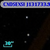 CXOSEXSI J131733.9+291620