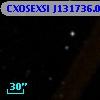 CXOSEXSI J131736.0+291514