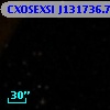 CXOSEXSI J131736.7+290919
