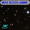IRAS 02325+6008