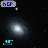 NGP9 F379-0298238