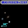 IRAS F13129+2217