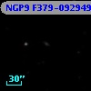 NGP9 F379-0929498