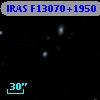 IRAS F13070+1950