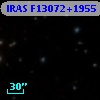 IRAS F13072+1955