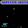 NGP9 F379-1037314