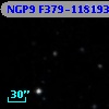 NGP9 F379-1181930
