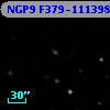 NGP9 F379-1113981