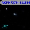 NGP9 F379-1116145