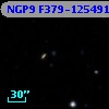 NGP9 F379-1254912