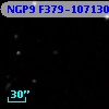 NGP9 F379-1071308