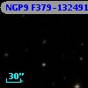 NGP9 F379-1324918
