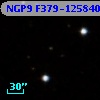 NGP9 F379-1258403