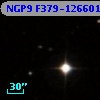 NGP9 F379-1266017