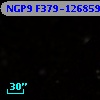 NGP9 F379-1268594