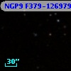 NGP9 F379-1269798