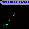 NGP9 F379-1269930