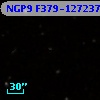 NGP9 F379-1272377