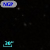 NGP9 F379-1340863