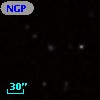 NGP9 F379-1391498