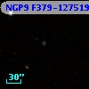 NGP9 F379-1275195