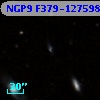 NGP9 F379-1275981