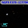 NGP9 F379-1277968