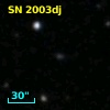 SN 2003dj