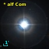 * alf Com