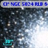Cl* NGC 5024    RLB     849