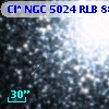 Cl* NGC 5024    RLB     884