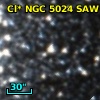 Cl* NGC 5024    RLB       8