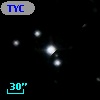 TYC 1451-955-1
