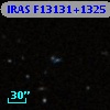 IRAS F13131+1325