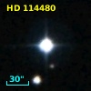 HD 114480