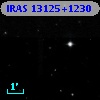 IRAS 13125+1230