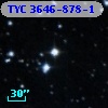 TYC 3646-878-1