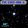 TYC 3183-886-1