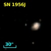 SN 1956J