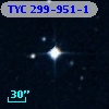 TYC  299-951-1