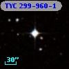 TYC  299-960-1