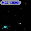 MGC 42503