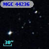 MGC 44236