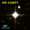 HD 114977