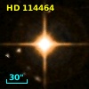 HD 114464