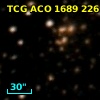 TCG ACO  1689 226