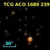 TCG ACO  1689 239